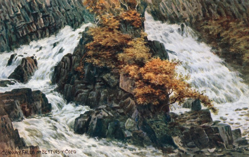 Conway Falls, Nr Bettws-y-Coed alkotó: Alfred Robert Quinton