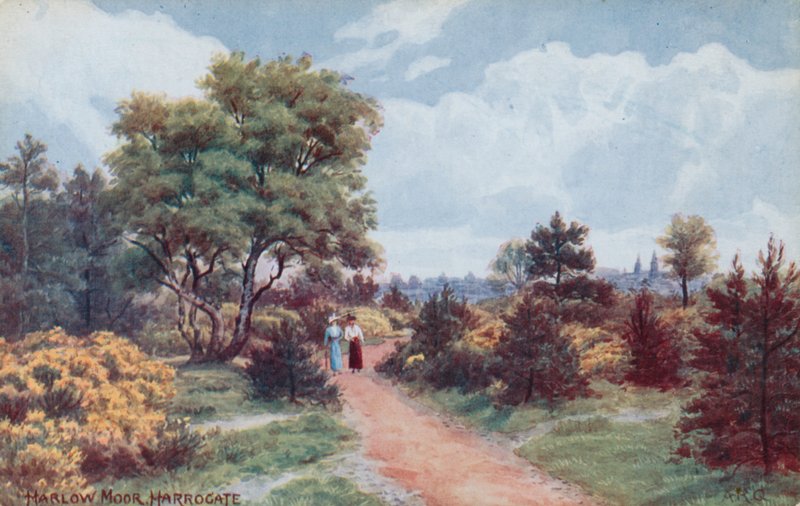 Harlow Moor, Harrogate alkotó: Alfred Robert Quinton
