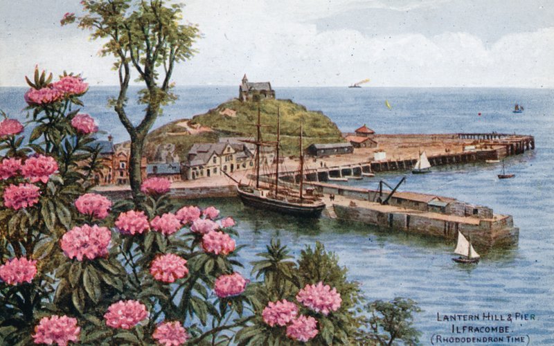 Lantern Hill és Pier, Ilfracombe, (Rhododendron idő) alkotó: Alfred Robert Quinton
