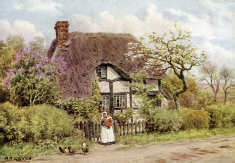 Lila és alma virágok, Harvington, Worcester alkotó: Alfred Robert Quinton