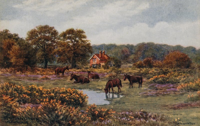 Új erdei pónik, Lyndhurst alkotó: Alfred Robert Quinton