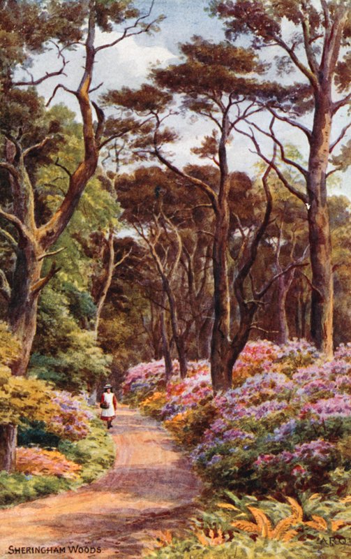 Sheringham Woods alkotó: Alfred Robert Quinton