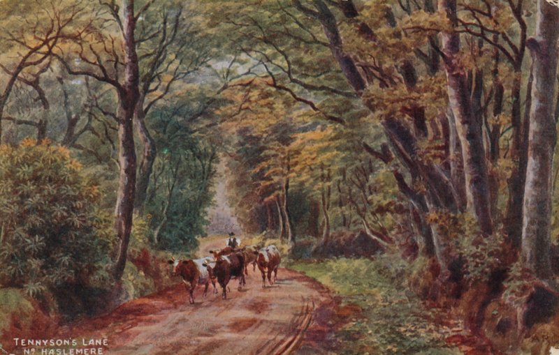 Tennyson Lane Haslemere közelében alkotó: Alfred Robert Quinton