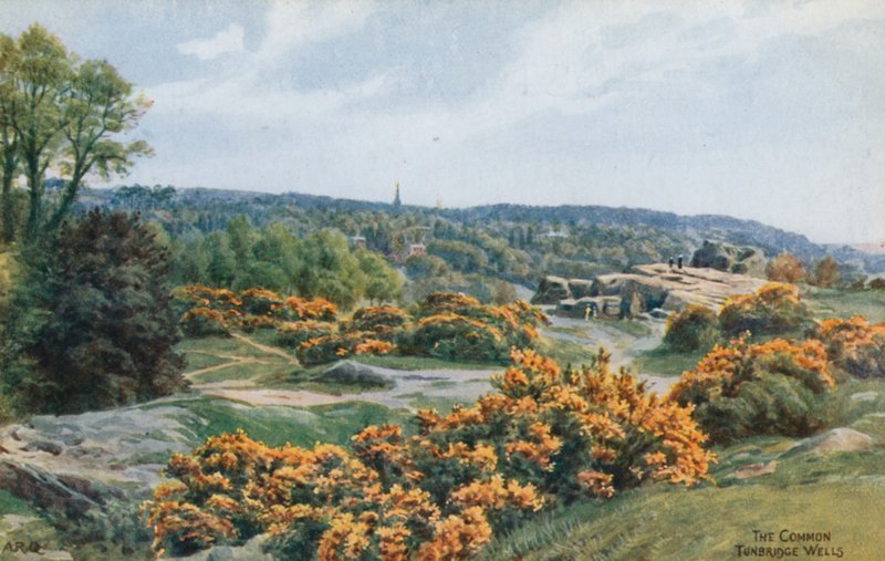 The Common, Tunbridge Wells alkotó: Alfred Robert Quinton