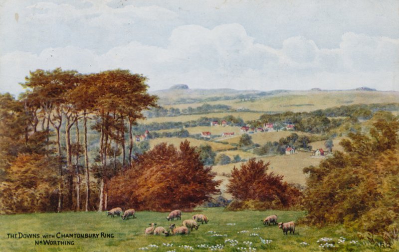 The Downs Chanctonbury Ringgel, Nr Worthing alkotó: Alfred Robert Quinton