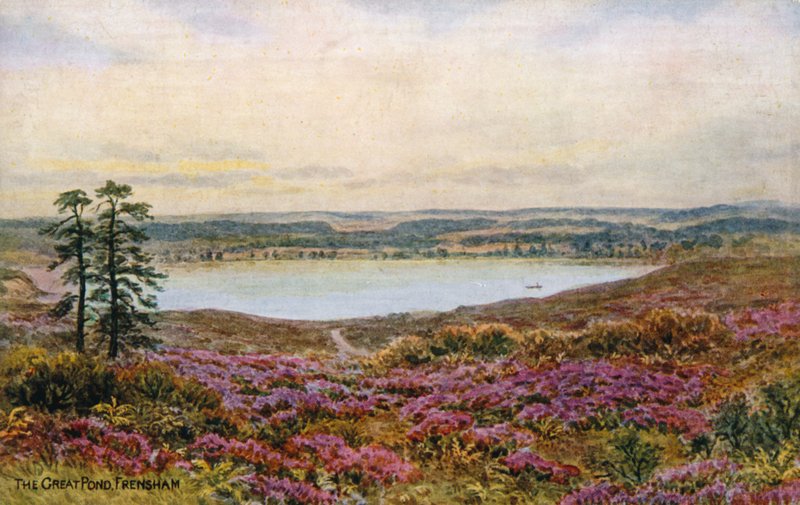 The Great Pond, Frensham alkotó: Alfred Robert Quinton