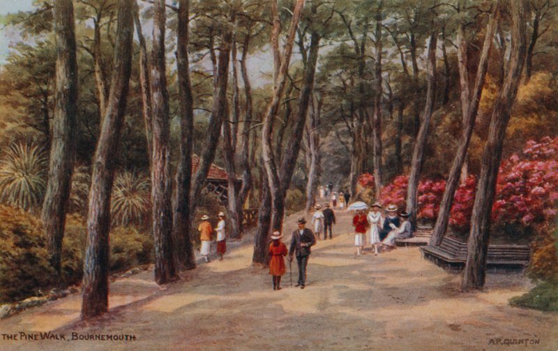 A Pine Walk, Bournemouth alkotó: Alfred Robert Quinton