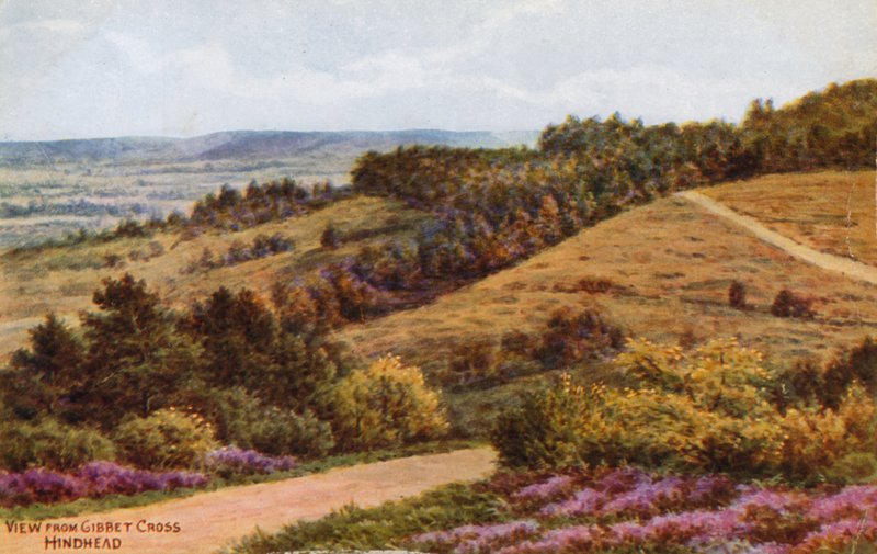 Kilátás Gibbet Crossból, Hindhead alkotó: Alfred Robert Quinton
