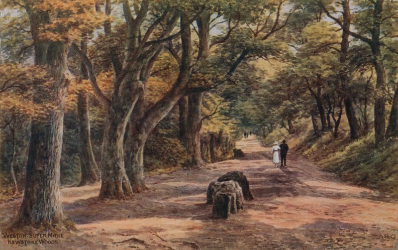 Weston-Super-Mare, Kewstoke Woods alkotó: Alfred Robert Quinton