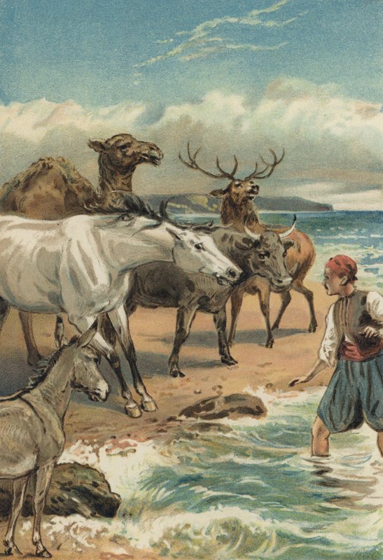 Arabian Nights: Beder és Giauhare története alkotó: Alfred W. Cooper