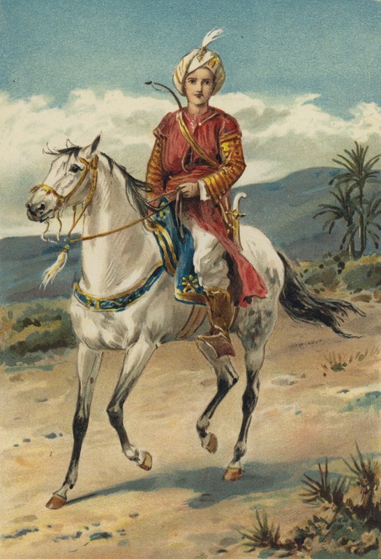 Arabian Nights: Codadad és testvéreinek története alkotó: Alfred W. Cooper