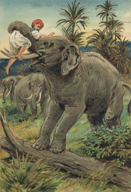 Arabian Nights: Szindbád, a tengerész története alkotó: Alfred W. Cooper