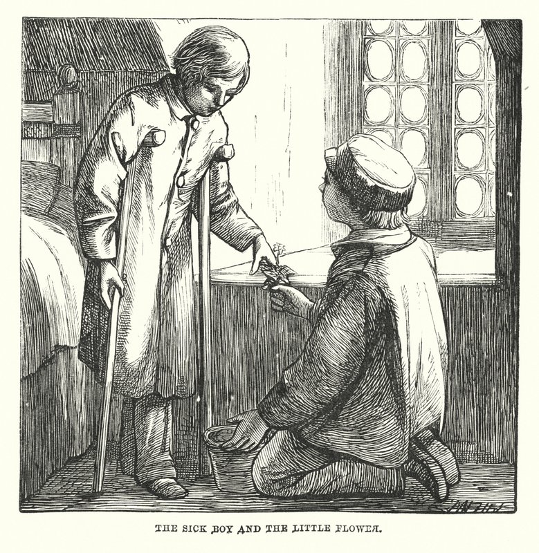  alkotó: Alfred Walter (after) Bayes