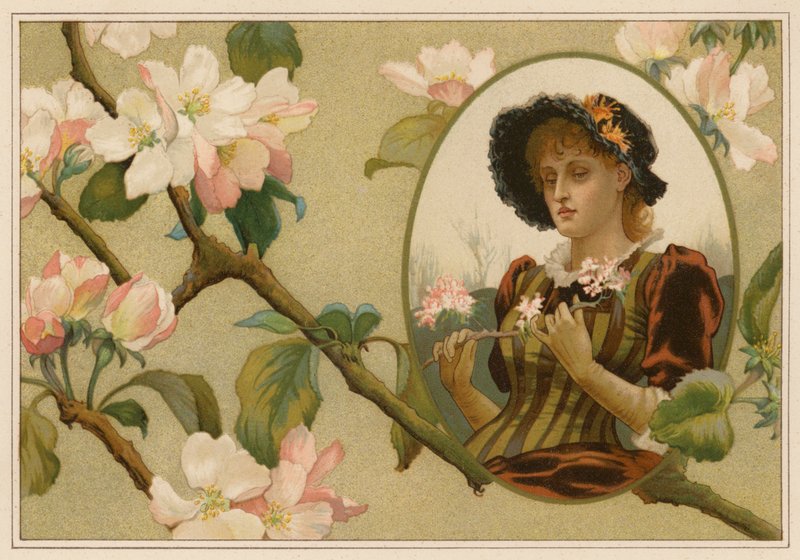 Az öntelt alma-ág (chromolitho) alkotó: Alice Havers