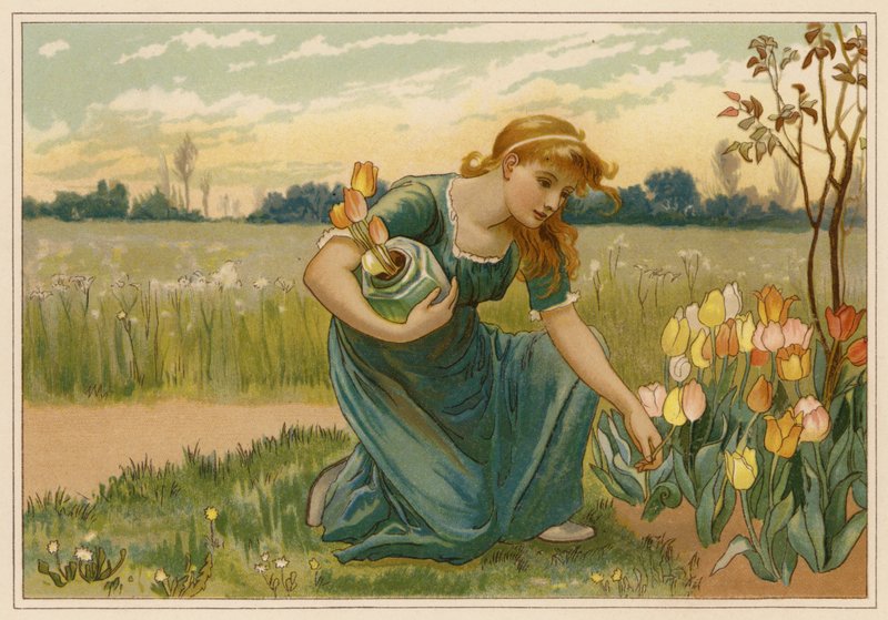 A Százszorszép (chromolitho) alkotó: Alice Havers