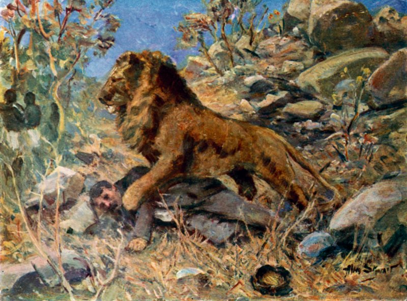 David Livingstone, Livingstone és az oroszlán (színes litó) alkotó: Allan (after) Stewart