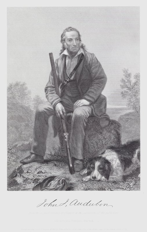 John James Audubon (metszet) alkotó: Alonzo (after) Chappel