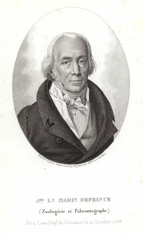 Jacques-Louis Marin francia alkotó: Ambroise Tardieu