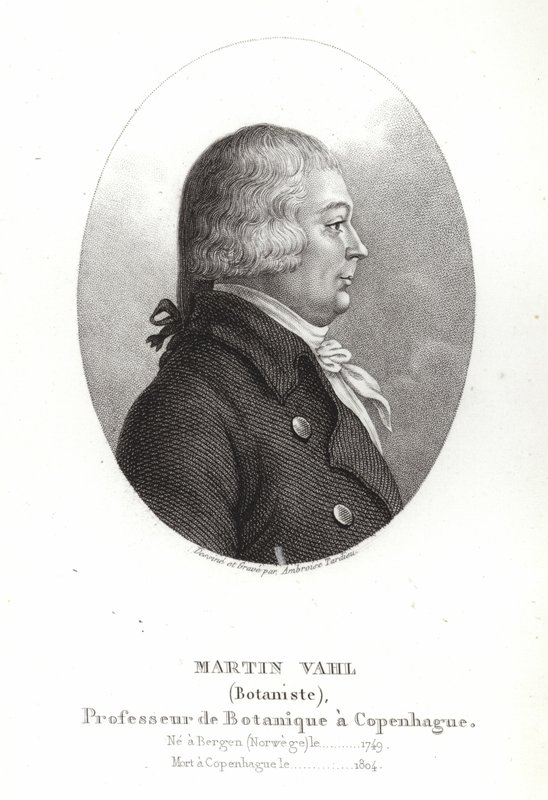 Vahl Márton alkotó: Ambroise Tardieu