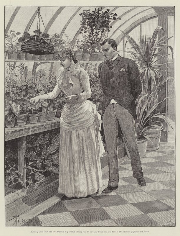 Vak szerelem, Wilkie Collins alkotó: Amedee Forestier