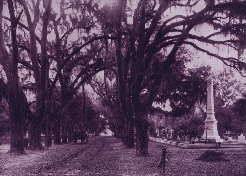 Bonaventure temető, Savannah, Georgia (f/w fotó) alkotó: American Photographer (after)