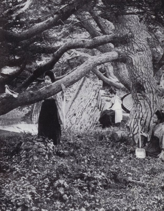Japán lányok az öreg fenyőfák között, az ősi császári árok mellett Tokióban (f/w fotó) alkotó: American Photographer (after)