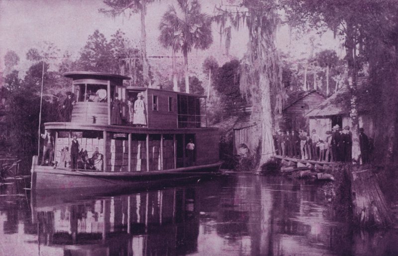 Az Ocklawaha folyón, Florida (f/w fotó) alkotó: American Photographer (after)
