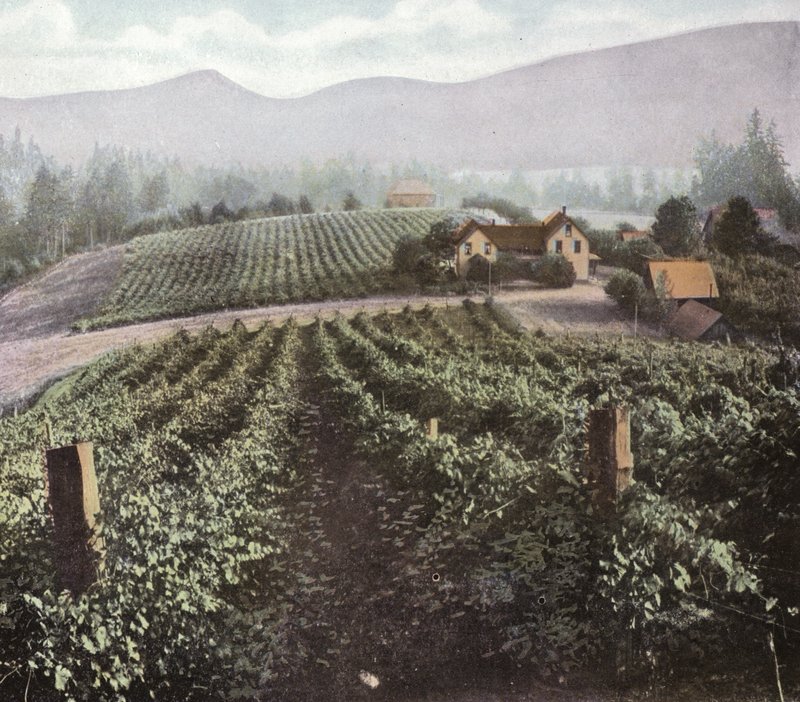 Oregon: Változatos gazdálkodás a Willamette-völgyben (fotó) alkotó: American Photographer (after)