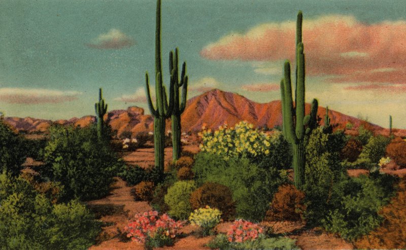 Phoenix, Arizona: Camelback-hegy és sivatag (fotó) alkotó: American Photographer (after)