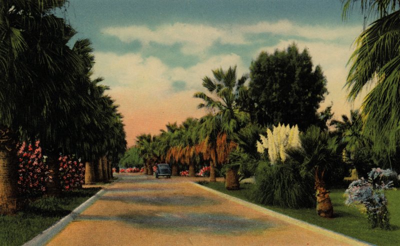 Phoenix, Arizona: Country Club Park (fotó) alkotó: American Photographer (after)