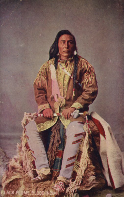 Black Plume, Blood Indian (fénykép) alkotó: American Photographer