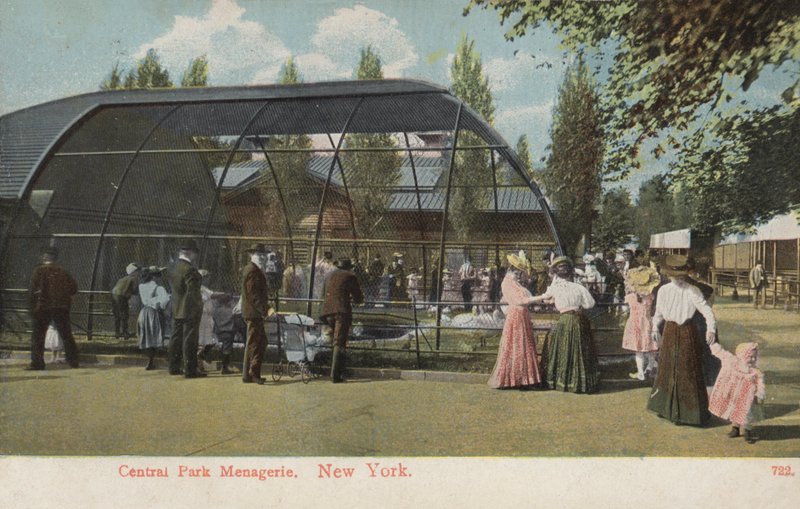 Central Park Menagerie, New York (fénykép) alkotó: American Photographer