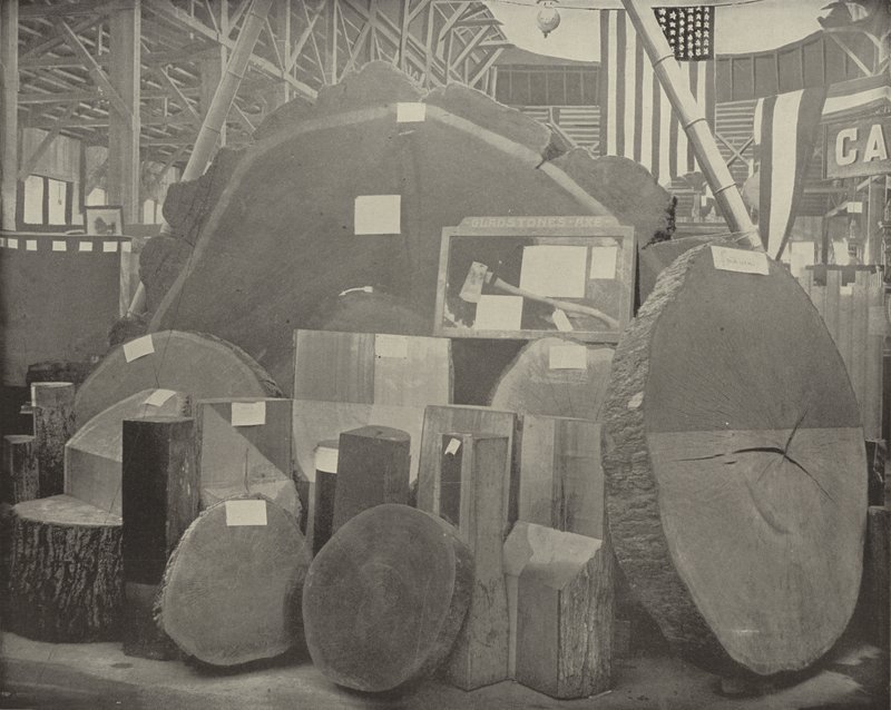 Gladstones Axe alkotó: American Photographer