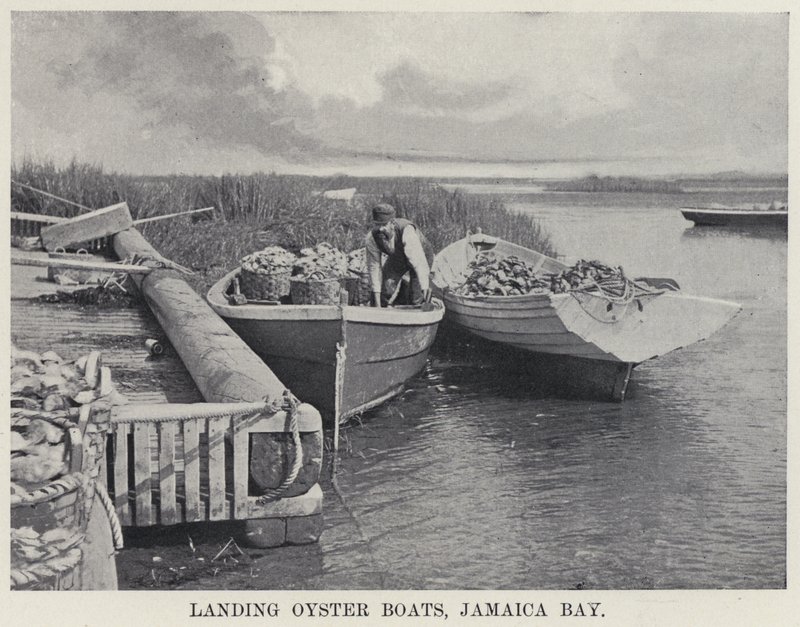 Landing Oyster Boats, Jamaica Bay (f/w fotó) alkotó: American Photographer
