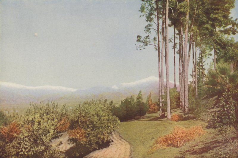 "Old Baldy", Smiley Heights, Kalifornia (színes fotó) alkotó: American Photographer