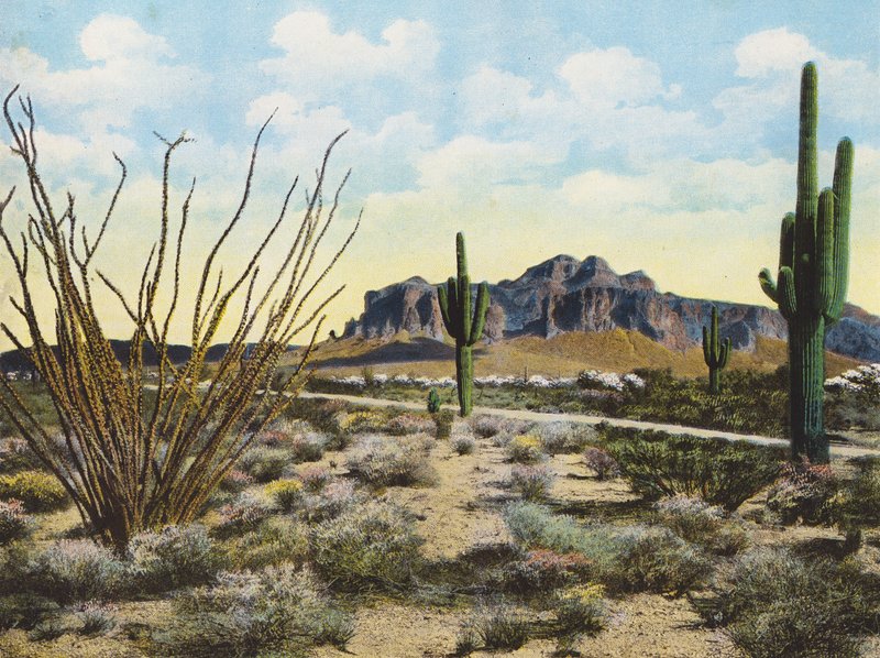 Superstition hegység és sivatag, "Apache Trail" (színes fotó) alkotó: American Photographer