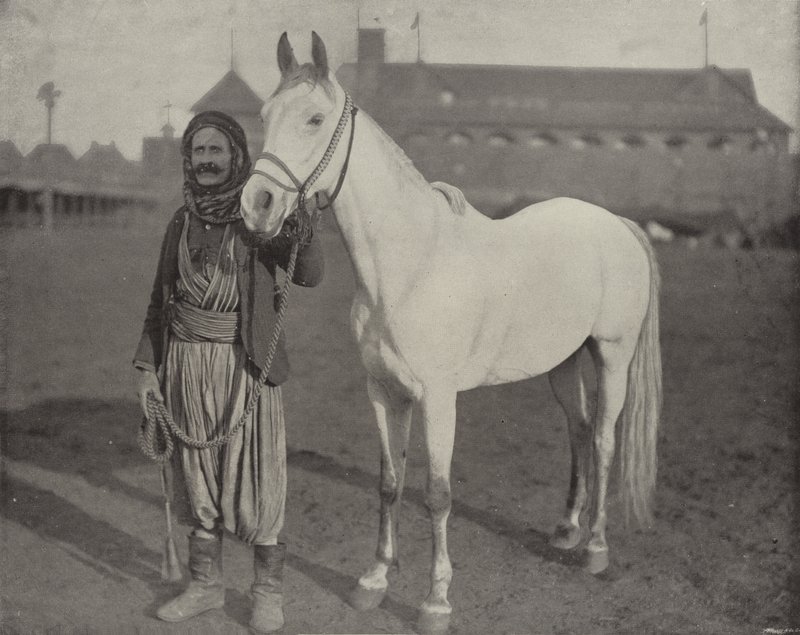 A Beduins Prize Steed alkotó: American Photographer