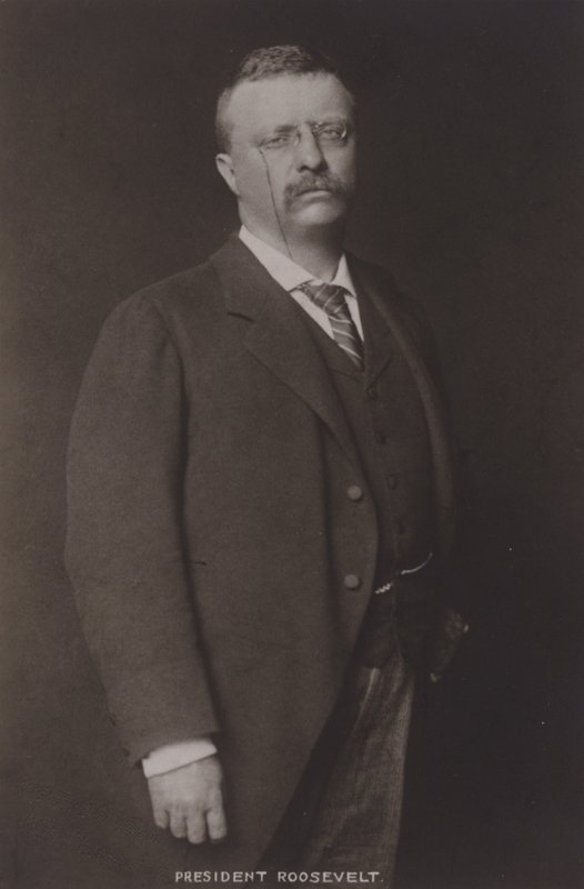 Theodore Roosevelt, az Egyesült Államok 26. elnöke, 1904 alkotó: American Photographer