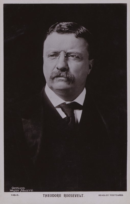Theodore Roosevelt, amerikai politikus, az Egyesült Államok 26. elnöke (fekete-fehér fotó) alkotó: American Photographer