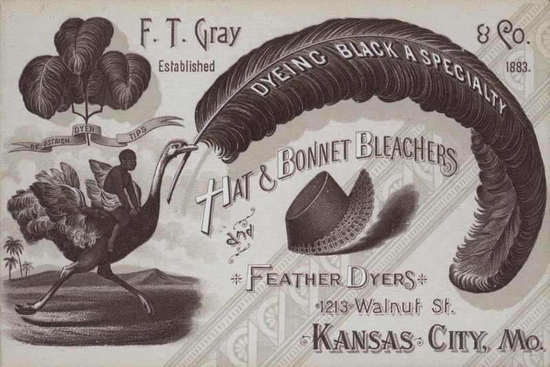 F T Grey, kalap- és motorháztető-fehérítők és tollfestők hirdetése, Kansas City, Missouri, USA (litho) alkotó: American School
