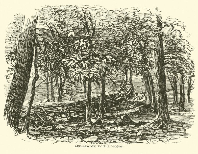 Mellmunka az erdőben, 1863. július alkotó: American School