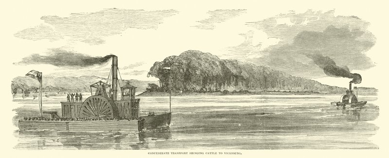 Szarvasmarhát szállító konföderációs szállítmány Vicksburgba, 1863. február alkotó: American School