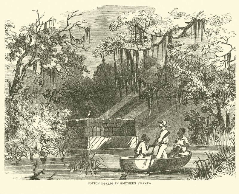 Gyapotkincsek a déli mocsarakban, 1862. július alkotó: American School