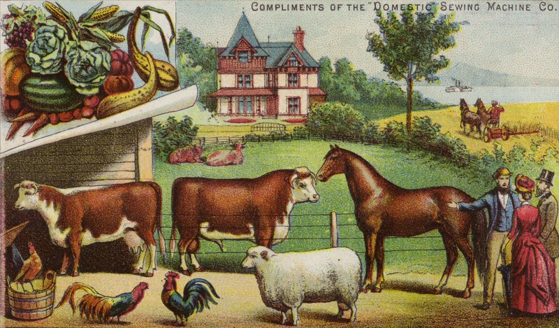 Farm House és Állatok alkotó: American School