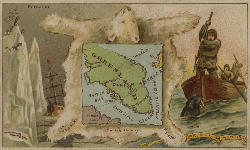 Grönland, pingvinek, jegesmedvék és rozmárvadászat (chromolitho) alkotó: American School