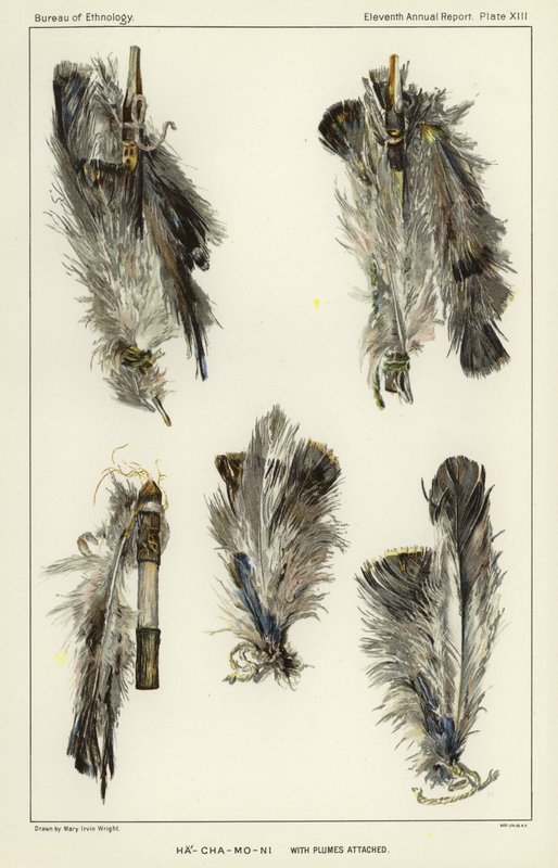 Ha-Cha-Mo-Ni with plumes attached alkotó: American School