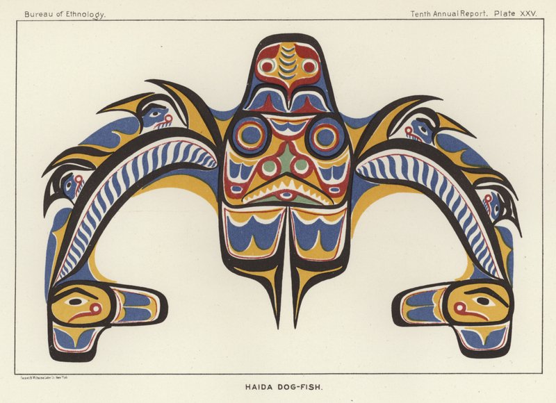 Haida Kutyahal alkotó: American School