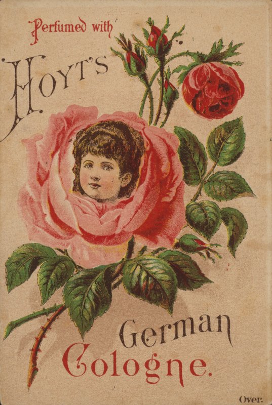 Hoyts német Köln alkotó: American School