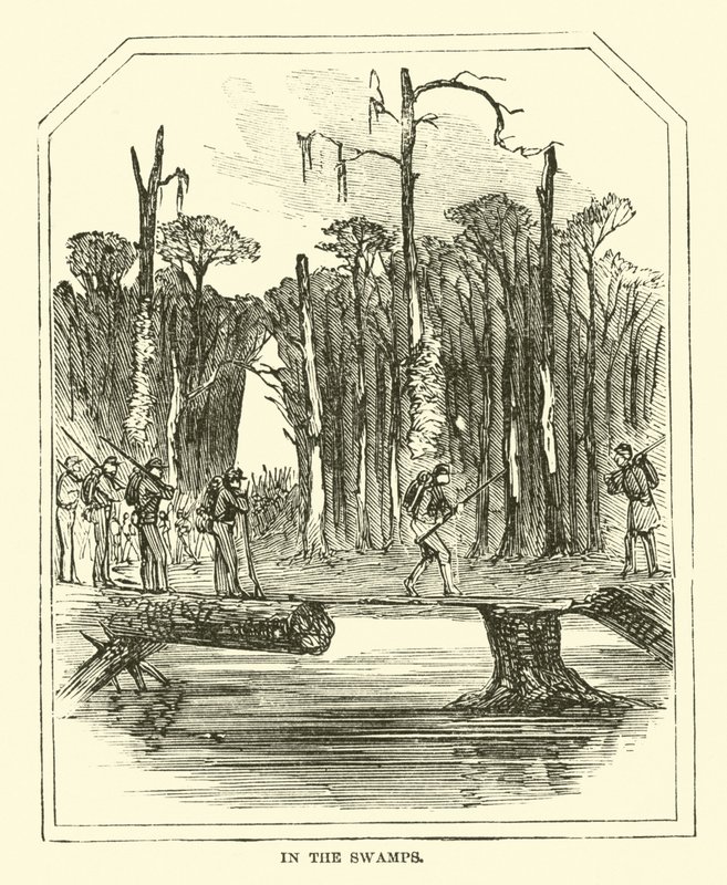 A mocsarakban 1863. márc alkotó: American School