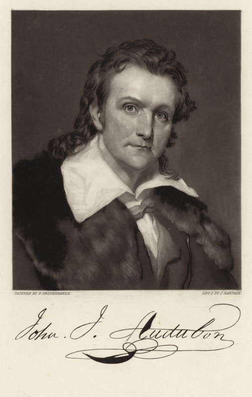 John James Audubon alkotó: American School